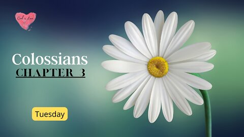 Colossians Chapter 3 Tuesday
