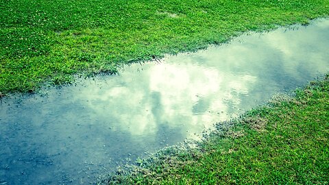 After the Rain