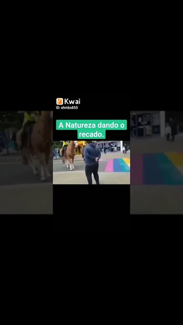 Cavalos Homofóbicos fascistas, Não Passarão. 🤣