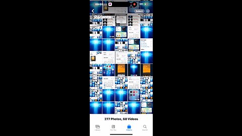 🎼🦁🦅❤️😔❤️🦅🦁🎼