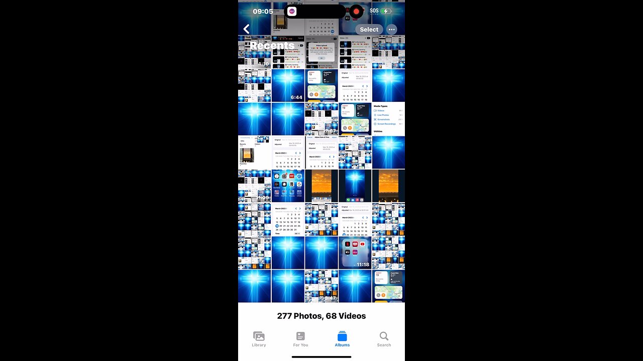 🎼🦁🦅❤️😔❤️🦅🦁🎼