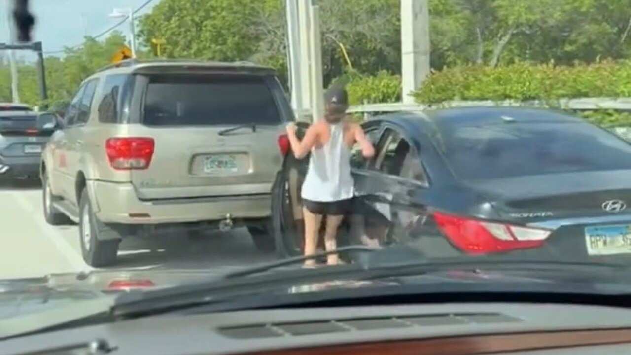 Drunk Karen Gets Some Instant Karma During Road Rage Incident