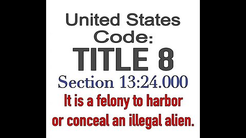 Border Czar Tom HOman Vows to ARREST Charge illegals FELON supporting liberal satanic Democrat cult