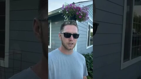 XRP Pump Incoming? Jed Running Out Of XRP!