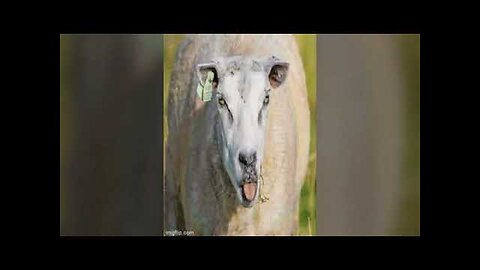 Who Is The Serpent