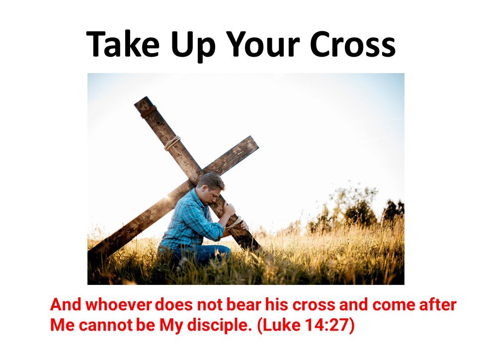 Mark - Chapter 8 - Take up Your Cross (Remembrance Day Special)