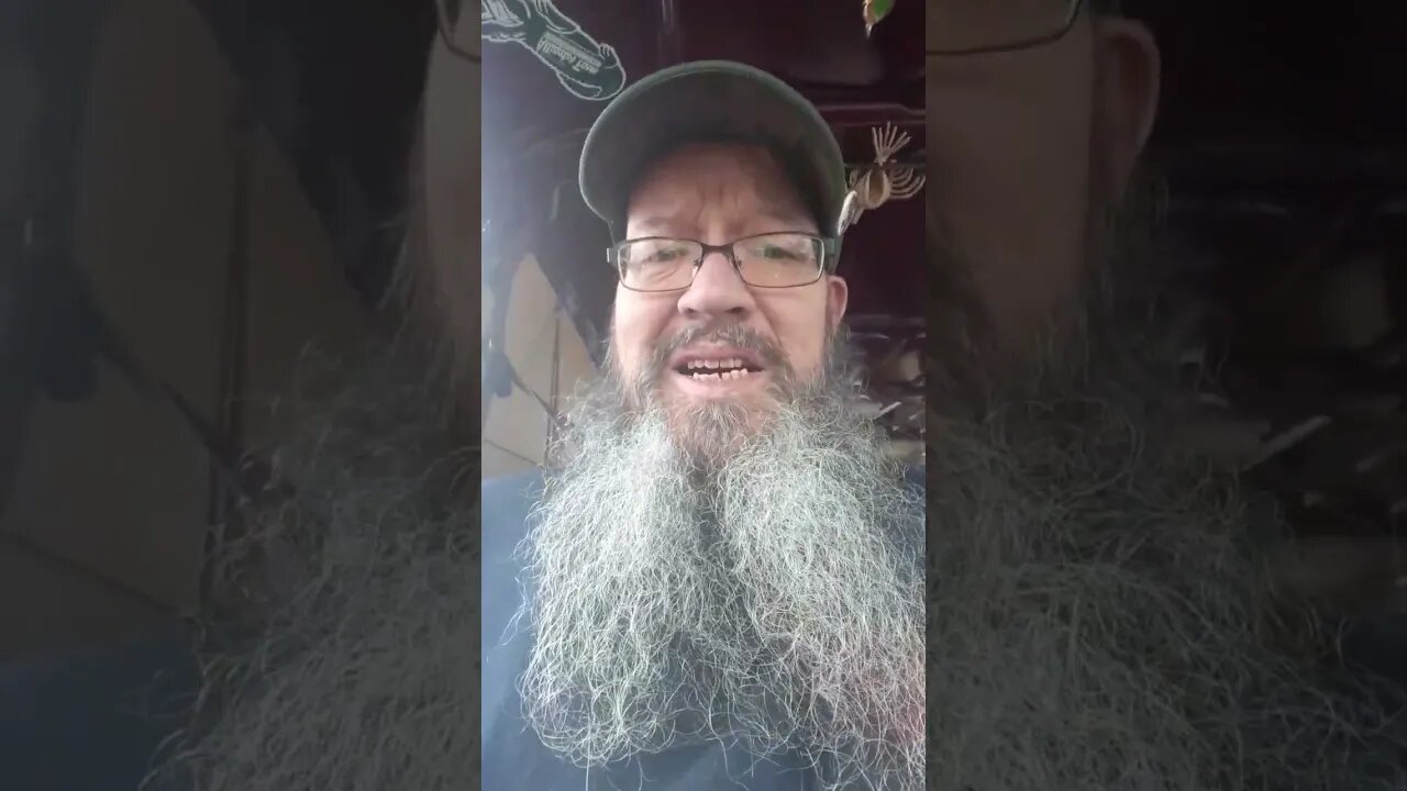 happy sundazed #stevecutlerlive