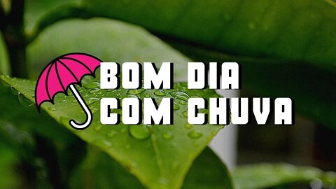 Música com |Chuva na Floresta| para MEDITAÇÃO e Paz