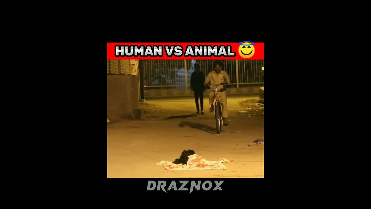 Human Vs Animal