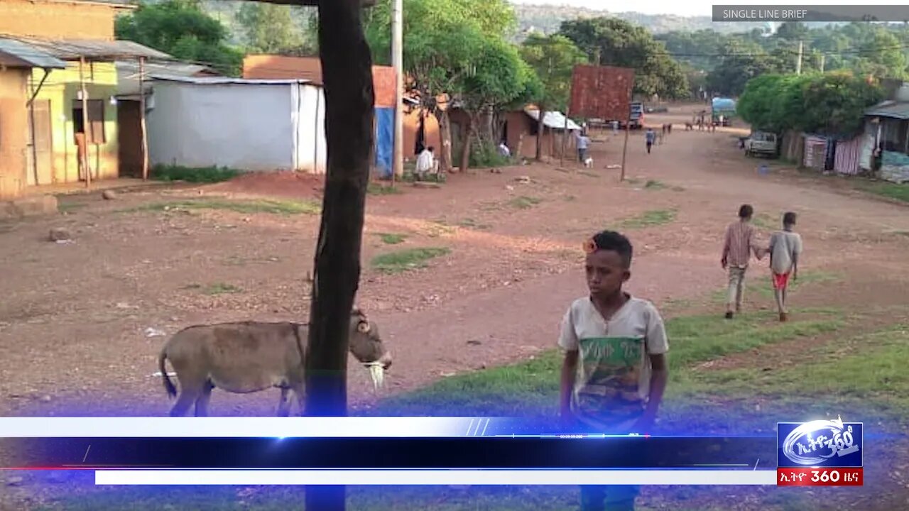 Ethio 360 Daily News Wednesday Nov 3, 2021