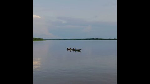 Nature Horizons - Amazon Rainforest # 3