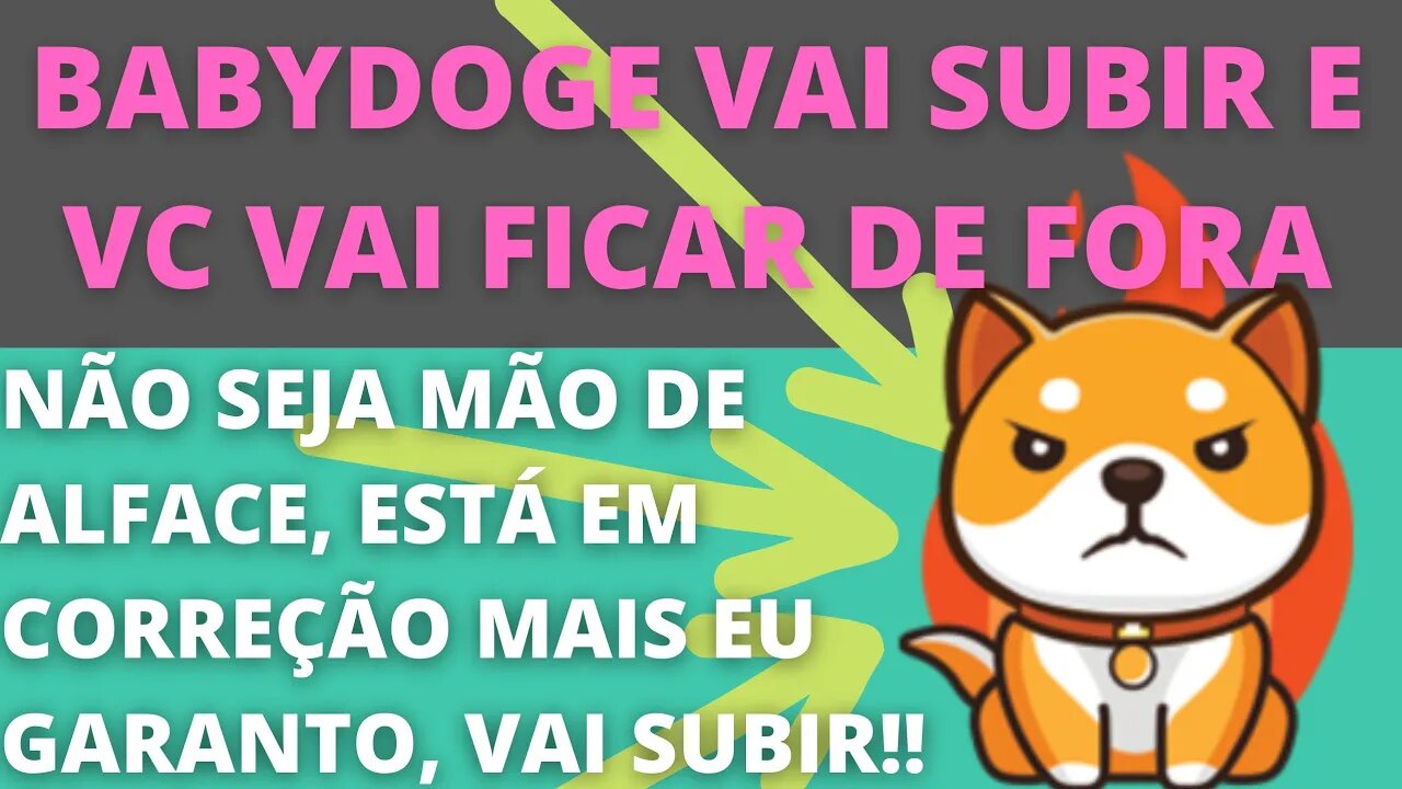 BabyDoge em correção, porém a alta é certeza! - 110