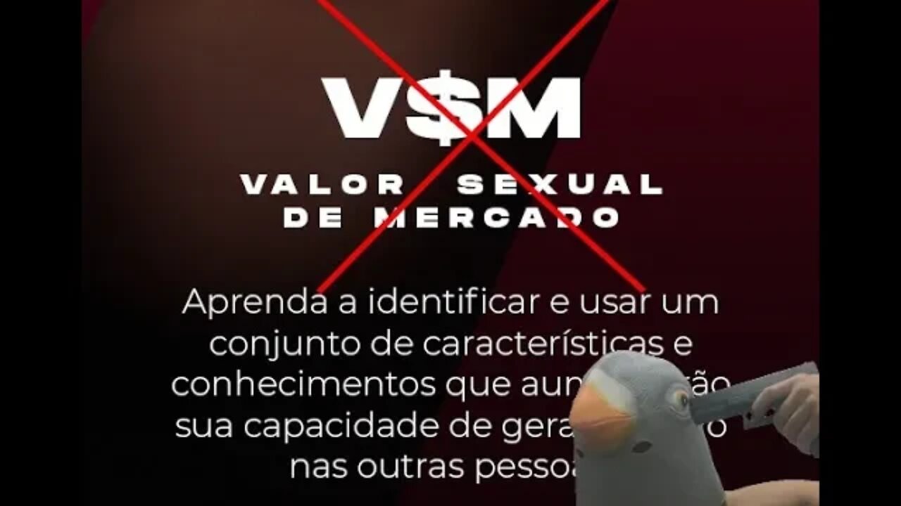 Aumente seu PDD, não o seu VSM (VSM É COISA DE GADO SIM)