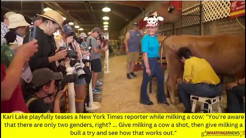 Kari Lake playfully teases a New York Times reporter while milking a cow: