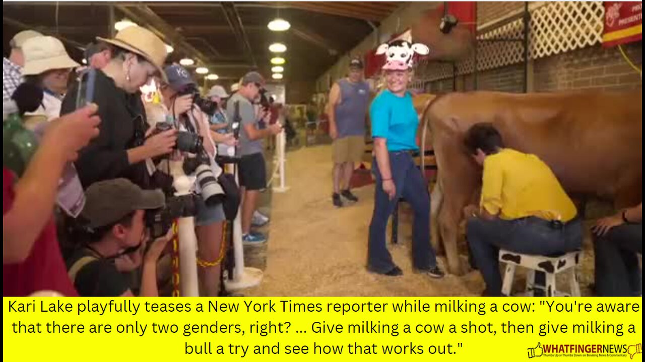Kari Lake playfully teases a New York Times reporter while milking a cow: