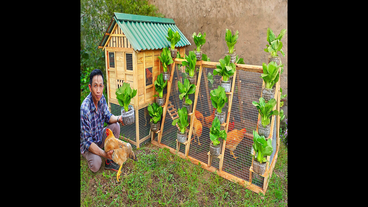 My father DIY 2in1 chicken coop run to raise chicken and grow organic vegetables