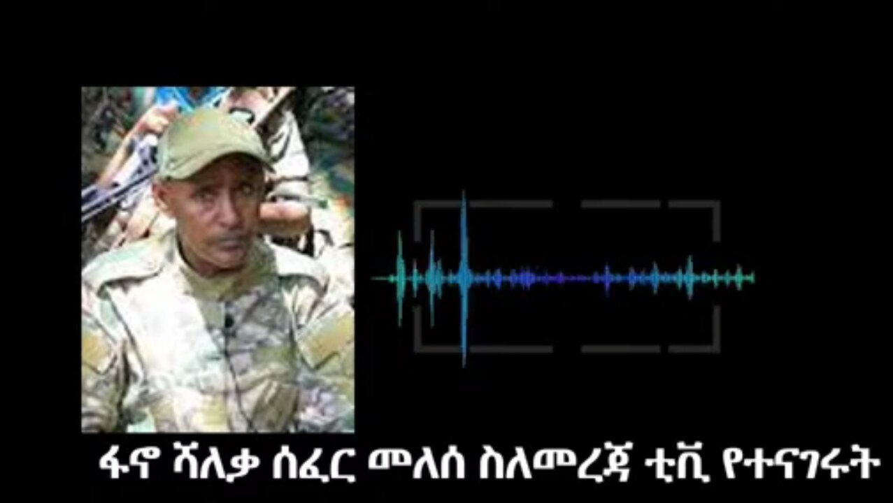 አርበኛ ሰፈር መለስን ጨምሮ በየደራጃው ያሉ ፋኖዎች ስለመረጃ ቲቪ የመሰከሩት