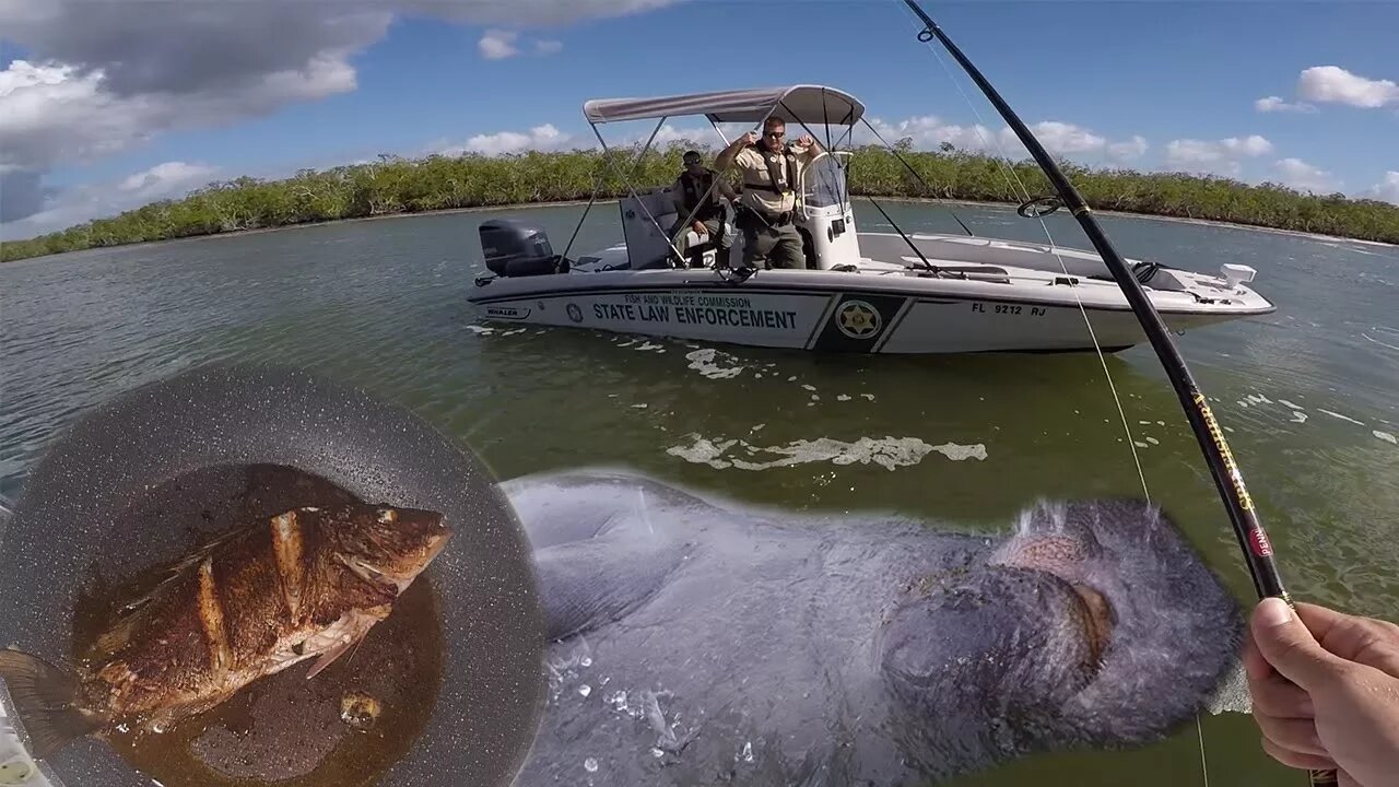 Catch N Cook Mangrove Snapper + (Strange Things & FWC)