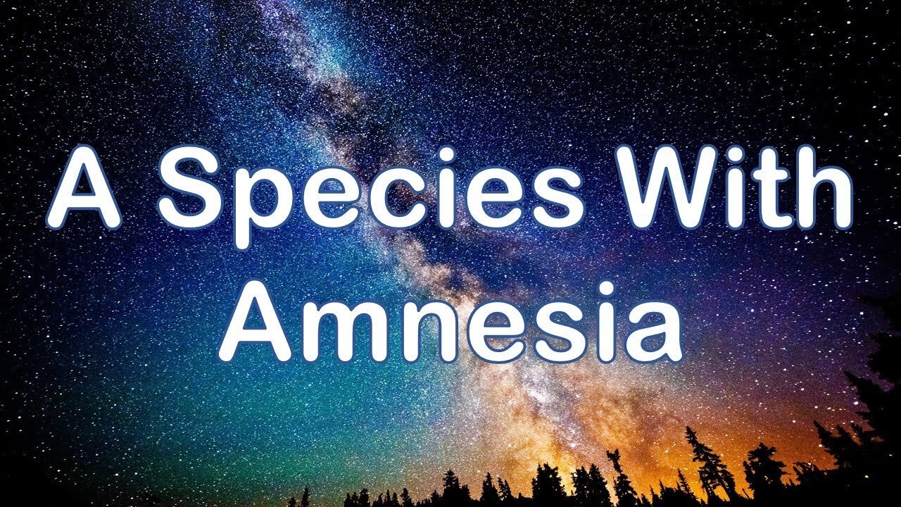 Michael Tellinger: We are a species with amnesia.