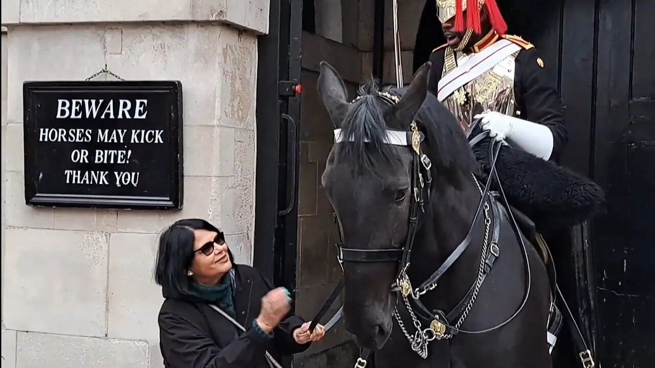 HANDS OFF THE REINS. TOURIST PULLS THE REIN #horseguardsparade