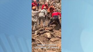 Tragédia no RJ: cão Bono de Gov. Valadares ajuda no resgate das vítimas em Petrópolis