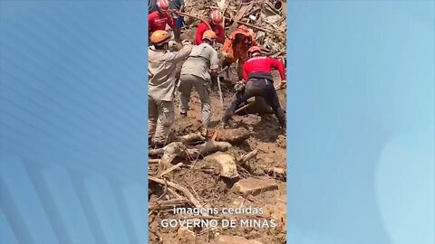 Tragédia no RJ: cão Bono de Gov. Valadares ajuda no resgate das vítimas em Petrópolis