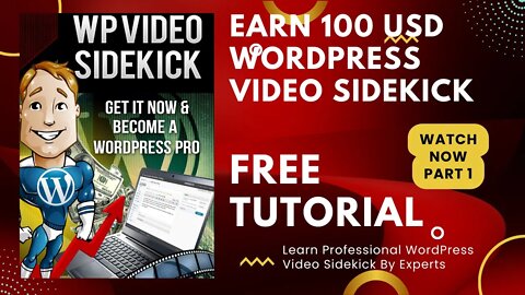 Earn 100 USD everyday With WordPress Video Sidekick II Part 1 @Pragyesh Ranjan ​