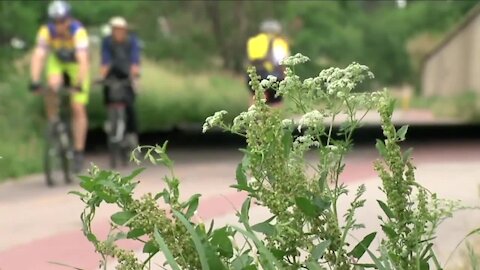 Today is Bike to Work Day