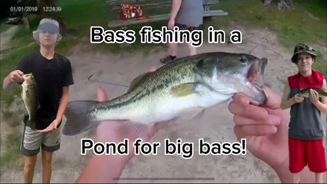 Fishing a pond for Big Bass!