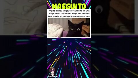 Memes em imagens - GÊNERO SEGUIDOR DO DR. FRAN #shorts