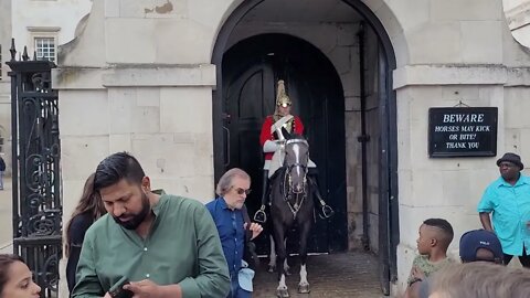 Met police horses August 2022 #horseguardsparade