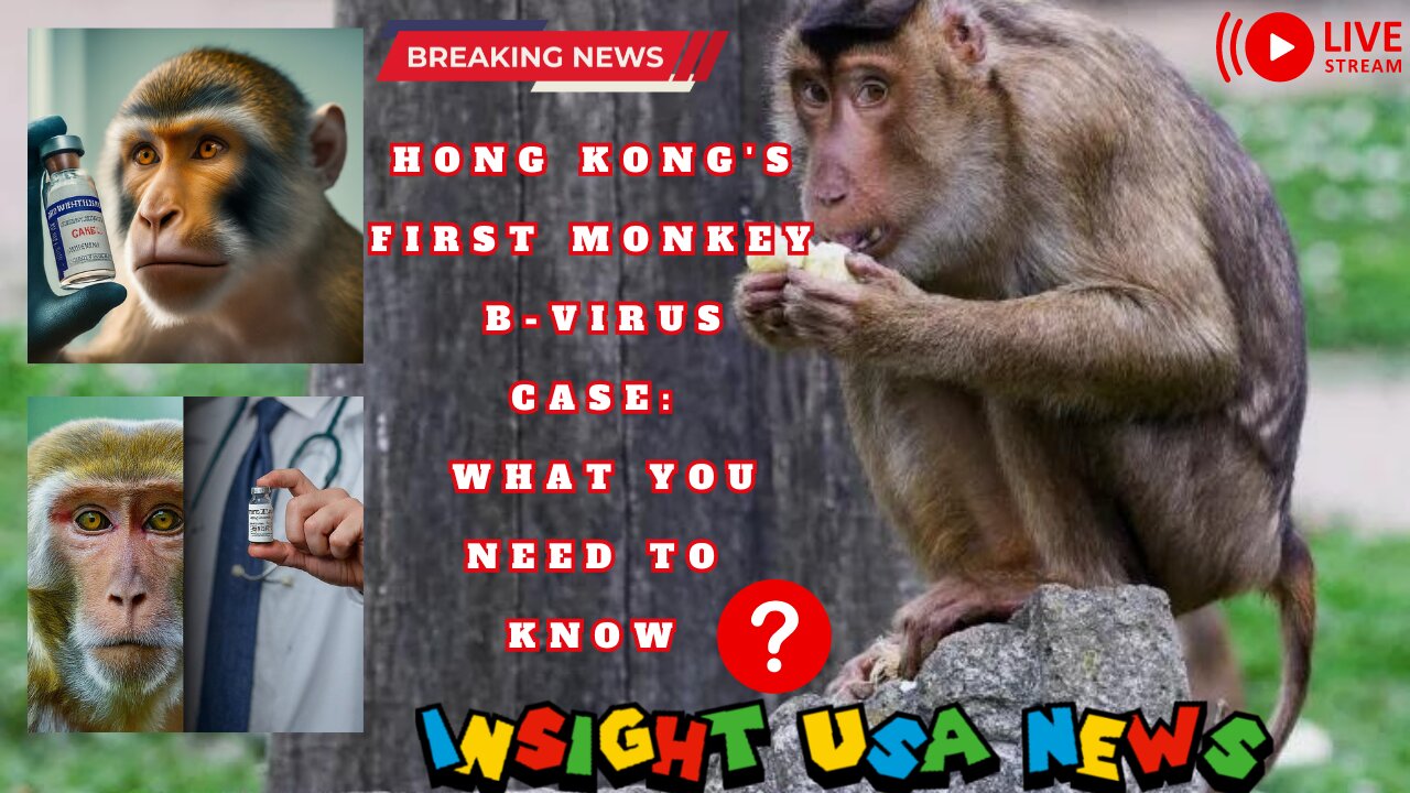 Hong Kong's First Monkey B-Virus Case: What You Need to Know