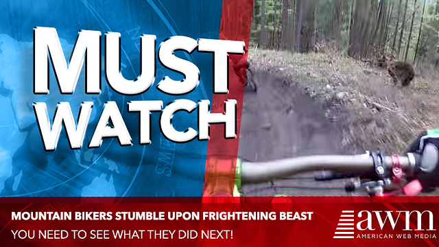 Here’s The Terrifying Video Of A Mountain Bike Trail News Stations Have Been Talking About