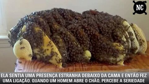 Ela sentia uma presença estranha debaixo da cama e então fez uma ligação.Quando um homem abre o chão