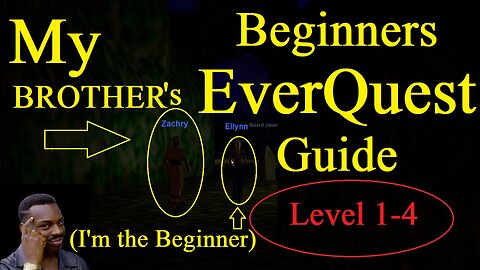 Struggling my way through EVERQUEST (levels 1-4)