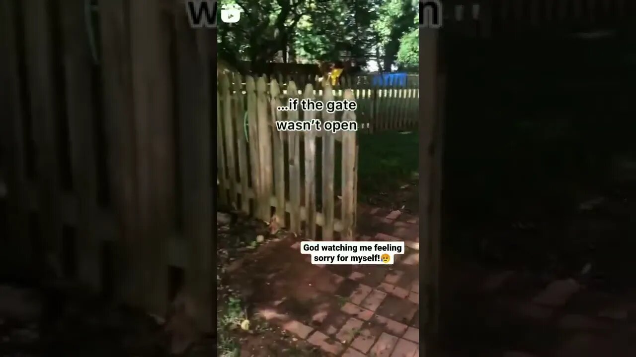 Poor Guy