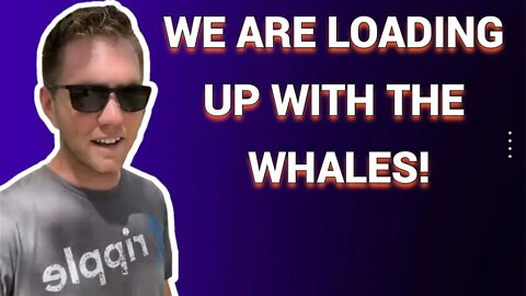 We Are Loading Up With The Whales!