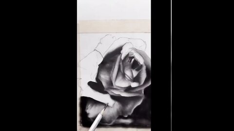 I drew soothing rose drawing for beginners (must watch)