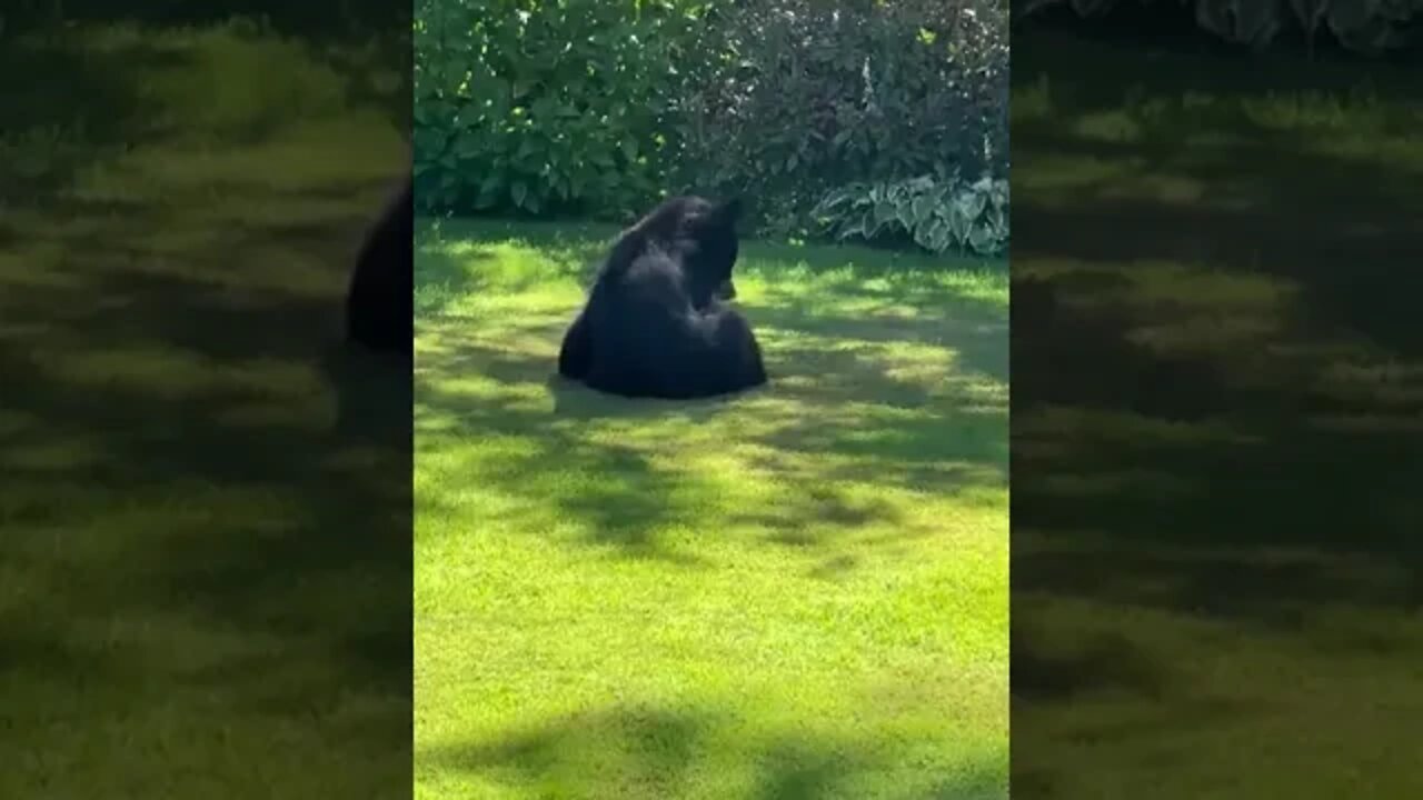 When you hang out your freshly washed sheets on the line in - North Vancouver, BC