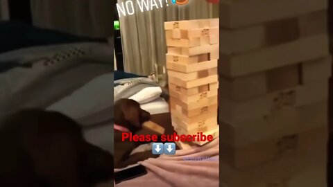 Wow How cute 😂❤️ please get this viral | #viral | #funnydogs | #trending | #shorts