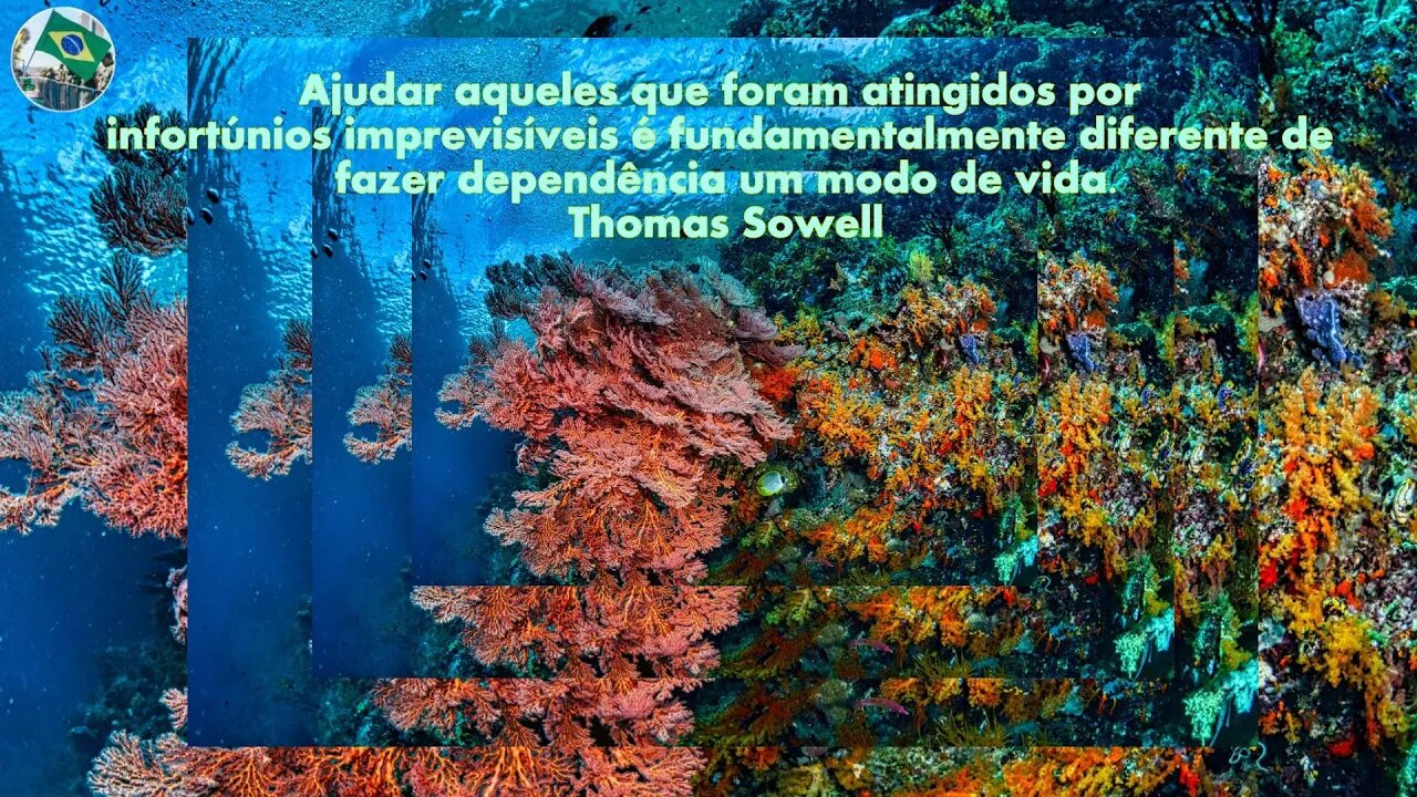 #aovivo Paz aos conservadores e aos defensores da Verdadeira Democracia 20/08/2022 BOLSONARO 2022