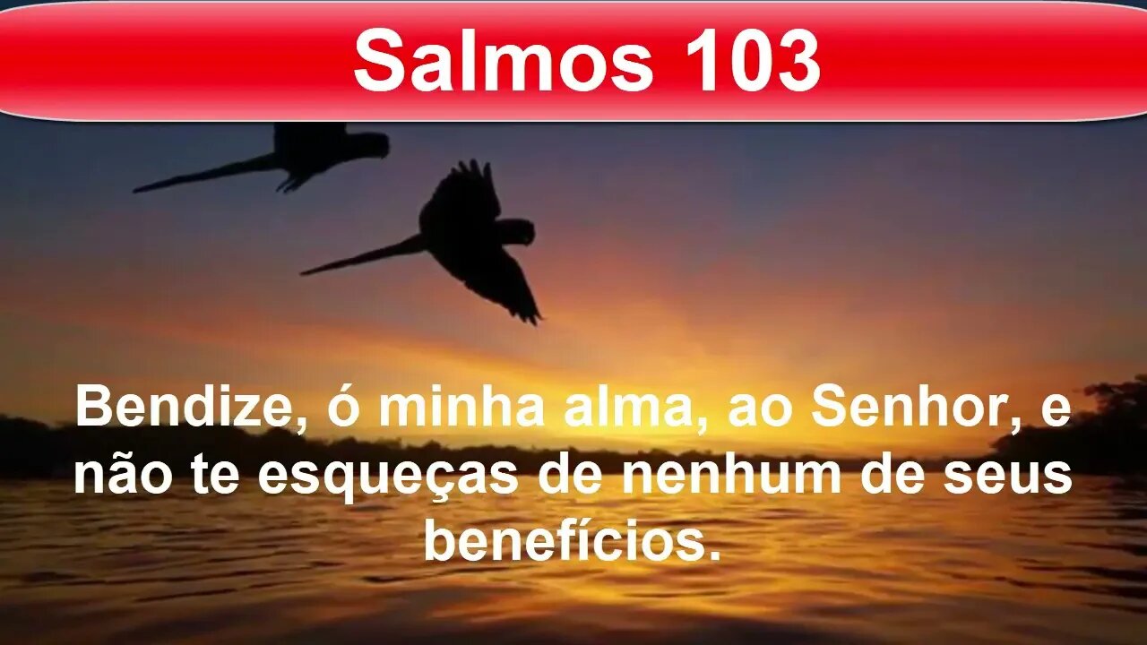 Sinta o perdão e a graça de Deus | Receba a graça de Deus agora para seguir em frente! | Salmo 103