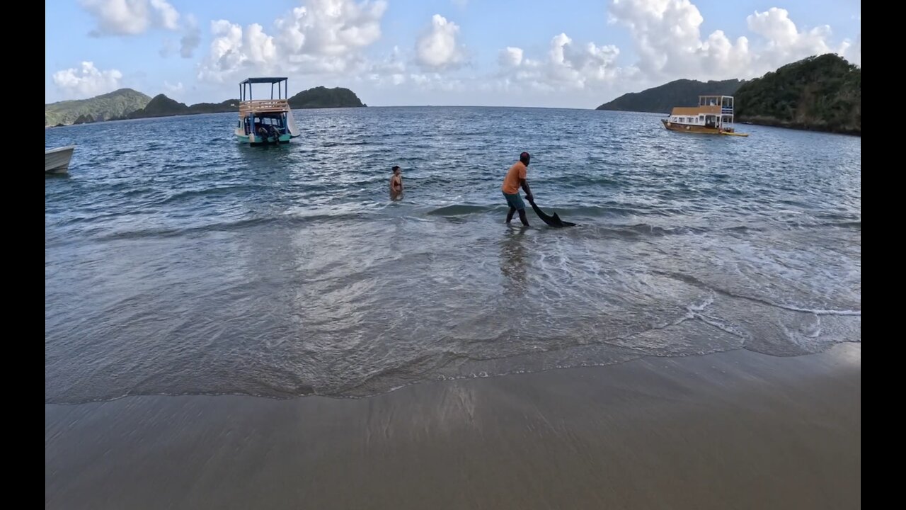 Man Rescues Baby Dolphin!