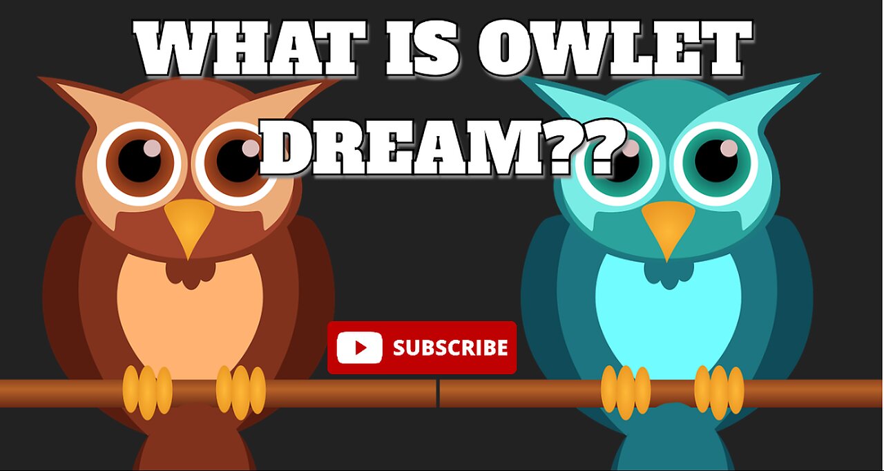 Discover the Magic of Owlet Dream - The Ultimate Sleep Solution for Babies by finance guruji