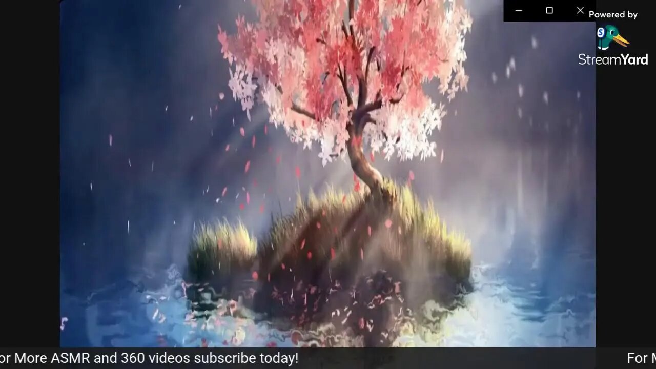 Cherry Tree Curse ASMR LIVE ;Subscribe
