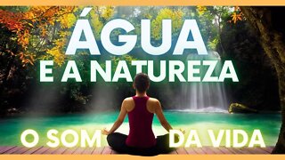 Água e a Natureza - O Som da Vida