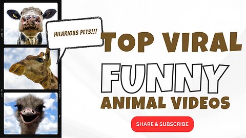 Comedy Pets Galore: Ultimate Funny Animal Moments Compilation!