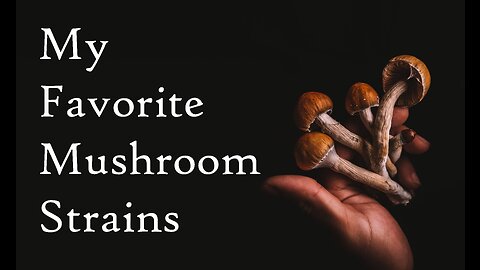 My Favorite Mushroom Strains (2021)