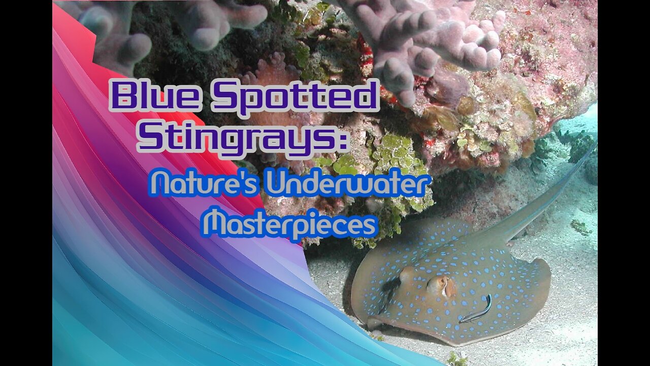 Blue Spotted Stingrays: Nature's Underwater Masterpieces