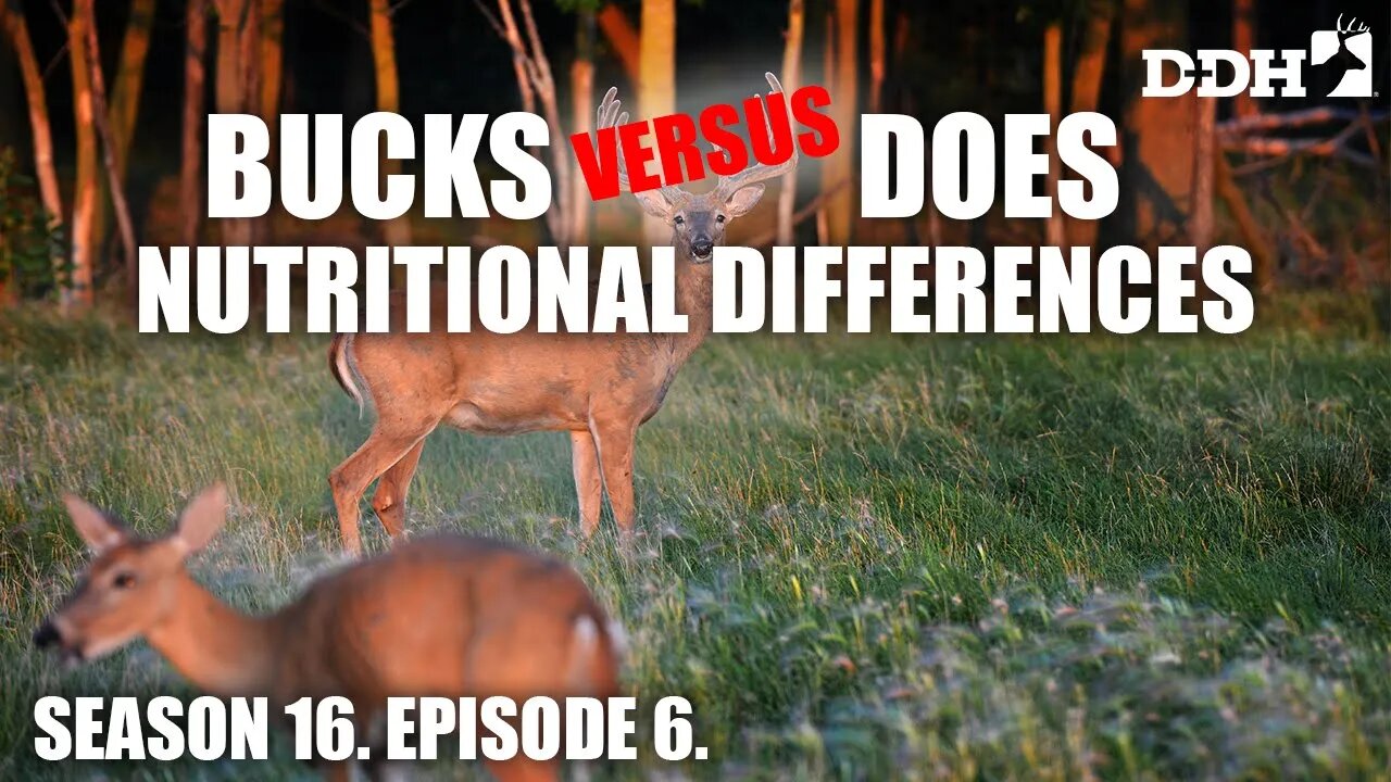 Whitetail Nutritional Needs | Deer & Deer Hunting TV